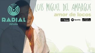 Luis Miguel del Amargue  Promesas Audio Oficial [upl. by Eimor]