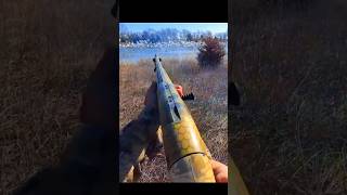 unbelievable shotsnowgoosehunting2024huntingbirdhuntinggoosehuntingyoutibeshorts [upl. by Potts]