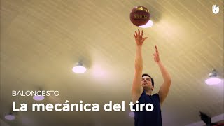 Cómo tirar a canasta  Baloncesto [upl. by Stratton379]