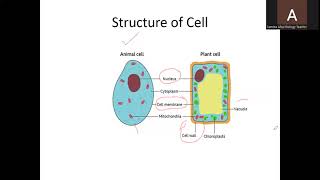 5090 cells part 1 [upl. by Noyar]