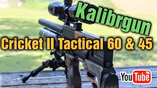 Airgun Showdown Kalibrgun Cricket 2 Tactical 60 vs 45  Clash of the Titans  Admist Two Crickets [upl. by Kalil]