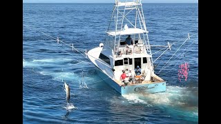 Sailfishing Quepos Costa Rica Lovn Life Everyday Video [upl. by Thorny]