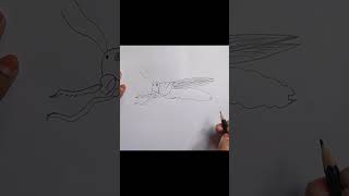 Grasshopper drawing drawing art sketch easydrawing grasshopper [upl. by Chev]