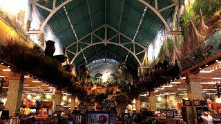 Bass Pro Shops Gainesville Taxidermy Tour [upl. by Ilamad55]