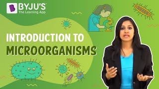 Microorganisms Introduction [upl. by Dwyer]