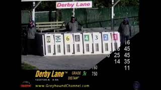 Last race ever at Derby Lane [upl. by Atile]