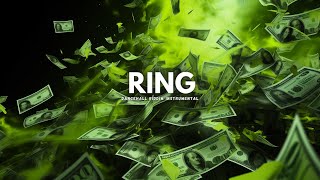 FREE Dancehall Riddim Instrumental 2024 Ring [upl. by Amoihc103]