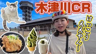 【木津川サイクリングロード大調査】さくらであい館から奈良へ！おすすめスポットやランチのお店紹介！看板ネコちゃんに出逢った〜！ [upl. by Derry925]