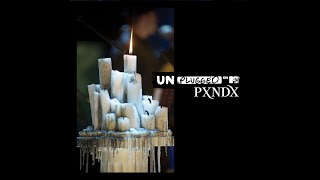 Sistema Sanguíneo Fallido MTV Unplugged  PXNDX Instrumental [upl. by Kila]