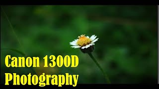 Canon 1300d photo samples  canon 1300d dslr photography [upl. by Annawik870]