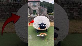 Japan Has A Real Life ShaunTheSheep House [upl. by Derrej]