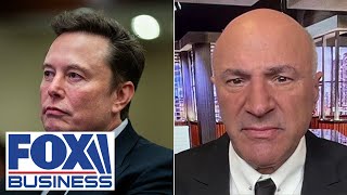 This is the power Elon Musk has O’Leary loves ‘very contentious’ plan to cut spending [upl. by Lorrimer]