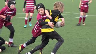 Sale Sharks U10s Festival of Rugby  20th October 2018  Longton vs Wirral [upl. by Fennessy789]