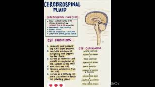 Cerebrospinal fluid nursing doctor nclexnursing nursingstudent medical gnm shortsvideo [upl. by Ennylcaj]