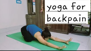 World Spine Day Best yoga asanas to strengthen spine release backpain  Day 310 [upl. by Astrea]