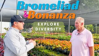 Bromeliad Bonanza Exploring Diversity Growth Stages and Ground Cover Varieties [upl. by Servetnick]