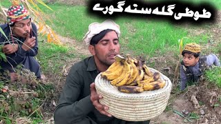 Tuti Gulla Sata Ghorey Pashto New Funny Video 2024 by Tuti Gull Official [upl. by Fitzger189]