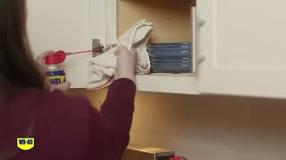 How to Fix a squeaky cabinet hinge  WD40® MultiUse Product [upl. by Eeryk]