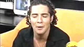 DAVID BISBAL DIGALE Acapela [upl. by Aerdnac]