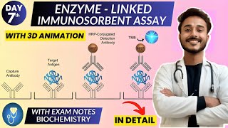 enzyme linked immunosorbent assay elisa biochemistry  Animation [upl. by Zashin977]