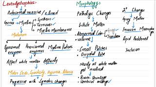 Leukodystrophies  CNS PATHOLOGY  Robbins pathology  Pathology lecture robbinspathologymedicine [upl. by Cord]