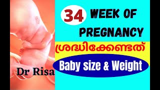 34 Week of Pregnant  Pregnancy Week by Week Malayalam [upl. by Retsevel846]