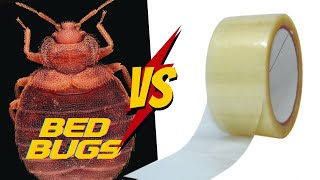 How to use Duct Tape for Bed Bugs COMPLETE Tutorial [upl. by Ruperta]