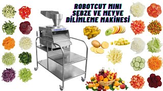 ROBOTCUT MINI SEBZE VE MEYVE DİLİMLEME MAKİNESİ [upl. by Ahsehyt]