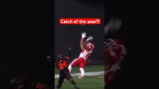 Unreal CFL touchdown catch cfl football cflfootball [upl. by Teragramyram503]