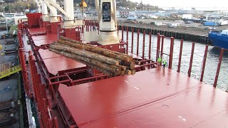 Loading timber onto a cargo ship [upl. by Eyks977]