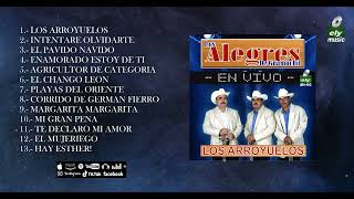 LOS ALEGRES DE GUAMUCHIL  LOS ARROYUELOS [upl. by Maggy]