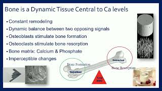 Understanding Physical Activity and Bone Mineral Density [upl. by Vassell456]