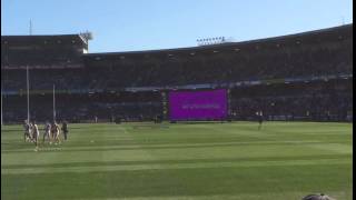 Fremantle Dockers intro [upl. by Rebme989]