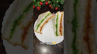 viral shots tiranga sandwich  green chutney white mayonnaise Orange tomato ketchup 🇮🇳 2024 [upl. by Nwahsd]