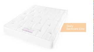 Sealy Backcare Elite Mattress [upl. by Grace]