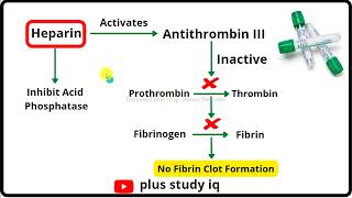 Heparin Anticoagulant a brief Introduction Plus study iq [upl. by Braden]