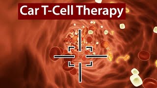 CARE Preventing Relapse After CAR Tcell Therapy [upl. by Dylane]