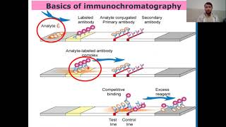 Immunochromatographic Assay or Technique I Guide to Immunochromatographic Assay [upl. by Nnylamme]