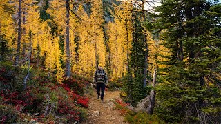 Hiking in the larches of Washington  Autumn hike in the North Cascades [upl. by Merell125]