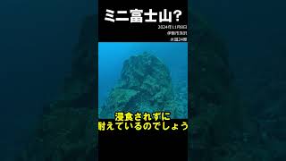 溶岩でできたミニ富士山 伊豆 水中映像 溶岩 海底 [upl. by Akihc]