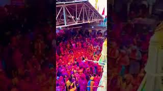 Barsane Ki Holi holiinmathura holi barsana virandavan mathura bakebihari shorts saroj [upl. by Leonelle]