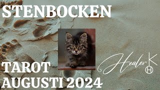 Stenbocken ♑️ Augusti 2024 Tarot  Healer K [upl. by Oilerua]