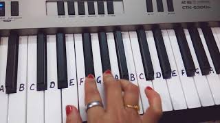 Tumhe Dillagi Bhool jani padegiKeyboard tutorialHarmoniumslow tutorialpiano [upl. by Ahsitra389]