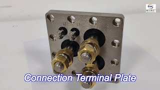 220v connection terminal plate custom sintered seal terminals [upl. by Jeno210]