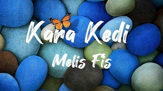 Melis FisKara KediLyrics [upl. by Lyreb756]