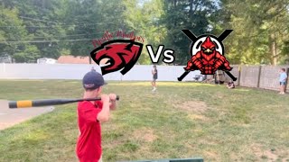 Panthers vs Cardinals series viral wiffleball [upl. by Llertniuq]