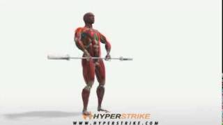 Exercise Videos Barbell Upright Row [upl. by Meridith758]