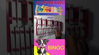 🐕BINGO Canción Infantil en Xilofono short tutorial [upl. by Ressay]