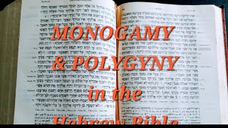 Monogamy amp Polygyny in the Hebrew Bible Part 1 [upl. by Emil748]