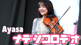 ナデシコロデオ  Ayasa 【東大生がバンドで弾いてみた】 [upl. by Ecahc947]